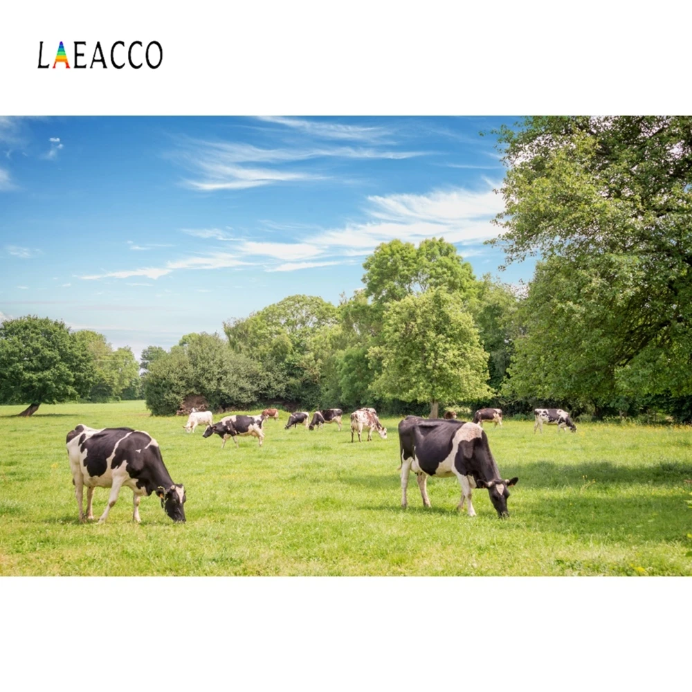 

Laeacco Farm Grassland Cows Blue Sky Photography Backgrounds Customized Photographic Backdrops For Photo Studio