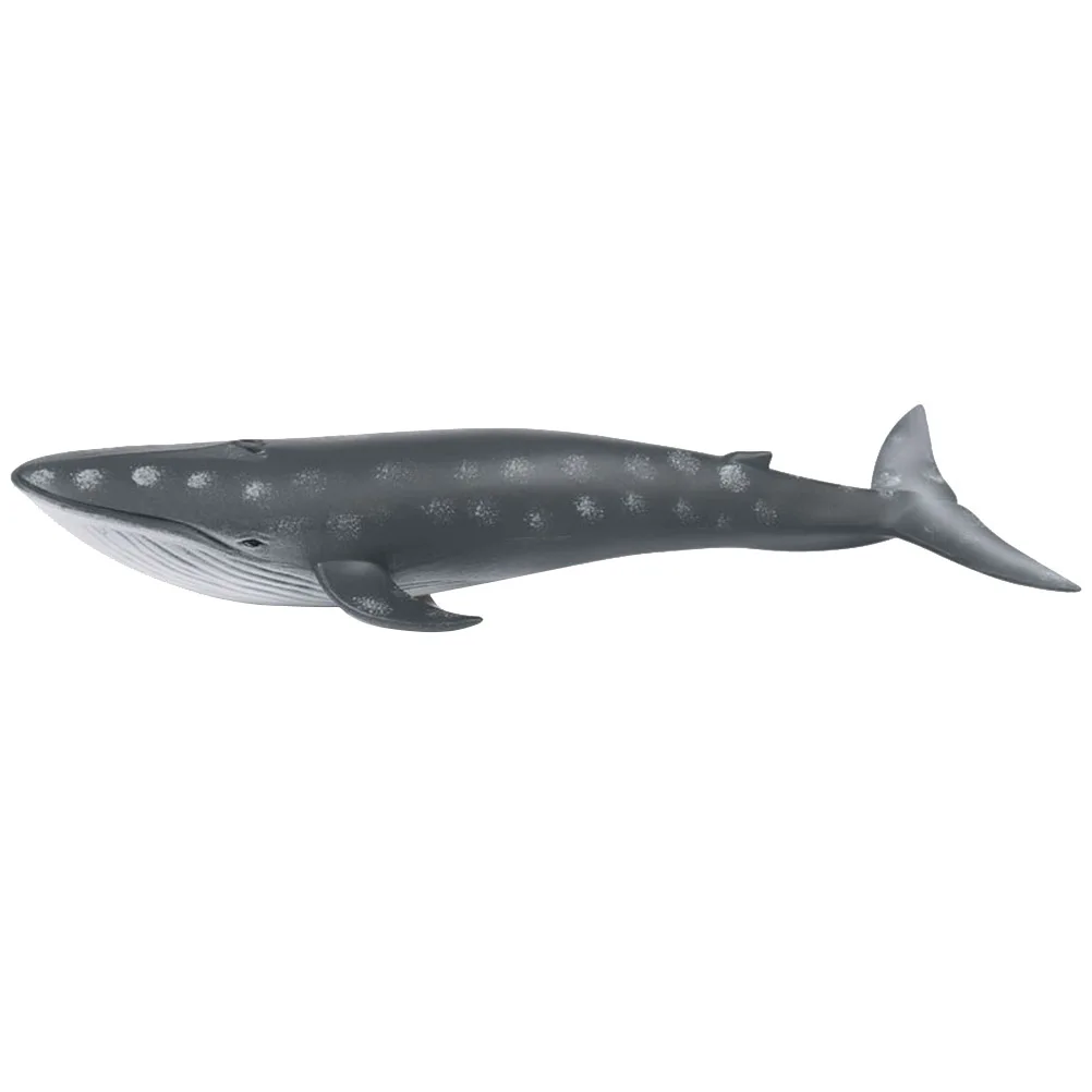 

1Pc Simulation Blue Whale Model Lifelike Vivid Solid Animal Model Blue Whale Toy Marine Life Figure Toy for Toddlers Babies