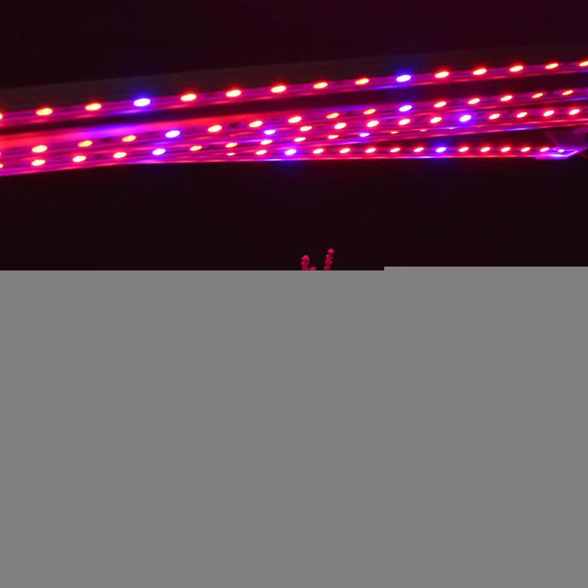 Mising 50cm LED Grow Light Bar Rigid Strip +5A Power Adapter IP65 Waterproof Hydroponic Indoor Veg Flower Plant Lamp Kit