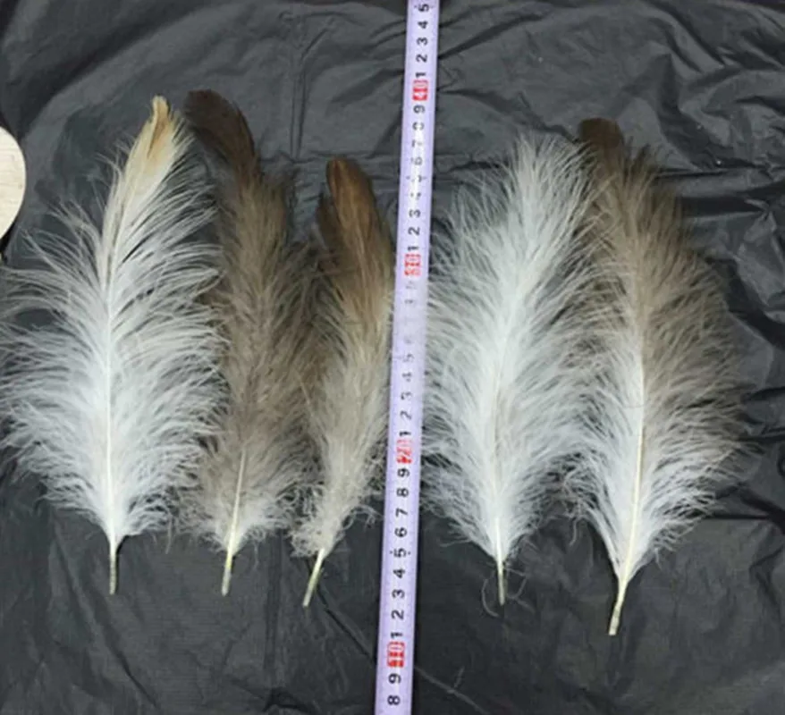 

Wholesale 10pcs / lot beautiful rare eagle feathers long 4-6 inch /10-15 cm DIY Diy jewelry wedding decorative accessories
