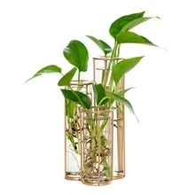 Современная стеклянная ваза в форме трубки, бутылка для цветочного растения, сделай сам, украшения для террариума, гидропонный зеленый Растительный контейнер, стеклянная ваза