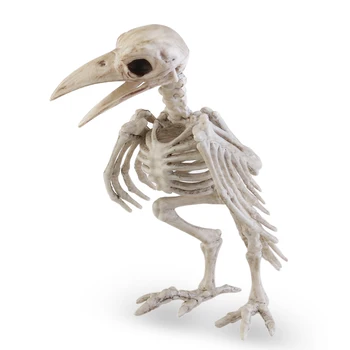 

100% Plastic Crazy Bone Skeleton Raven Animal Skeleton Bones Horror Halloween Decoration Halloween Prop Animal Skeleton Bones