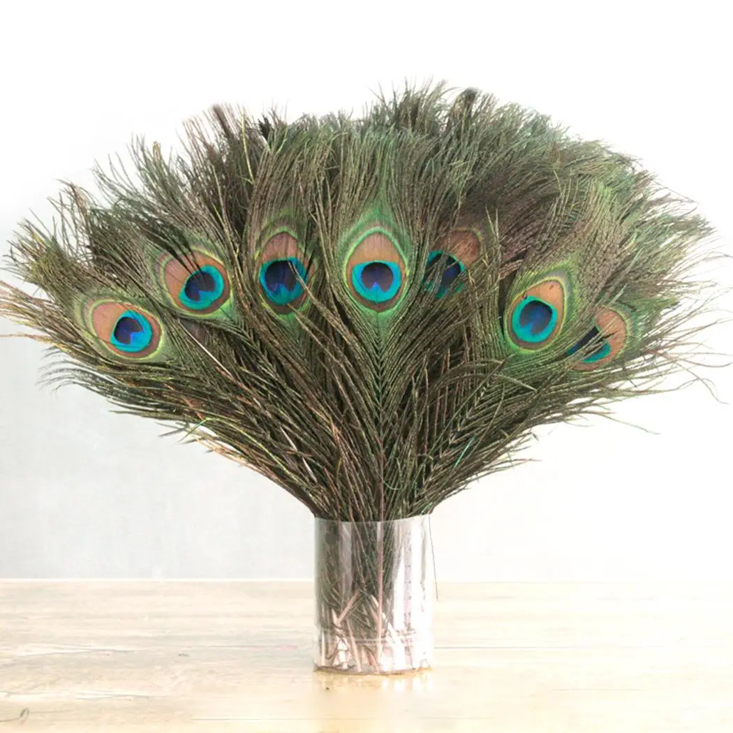 

Peacock As Home Decoration Feathers Natural Tail Decoration Picture Party