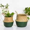 Garden Supplies