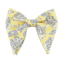 Г. Новые мужские вечерние платья Перрис кешью цветок Мальчики большой галстук бабочка полиэстер жаккардовый галстук бабочка свадьба Повседневная Ретро