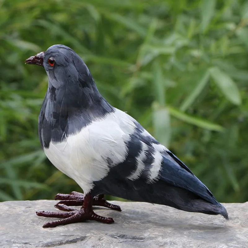 

NEW 1:1 Lifelike Plush Stuffed Animal Model Figurine Kid Science Nature Toy Pigeon