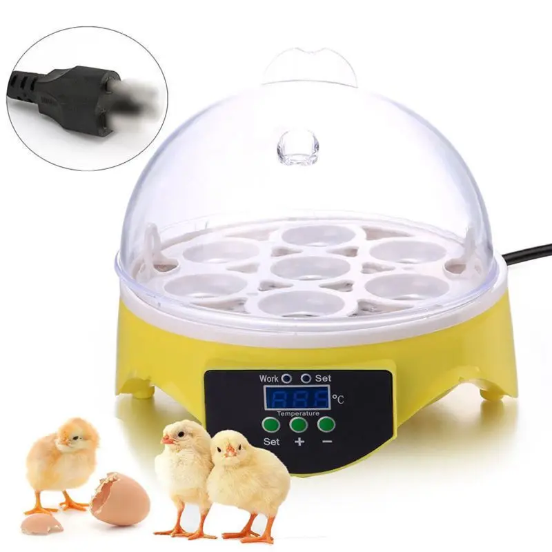 Mini 7 Egg Incubator Poultry Incubator Brooder Digital Temperature Hatchery Egg Incubator Hatcher Chicken Duck Bird Pigeon Us Mini 7 Egg Incubator Poultry Incubator Brooder Digital Temperature Hatchery Egg Incubator Hatcher Chicken Duck Bird Pigeon Us