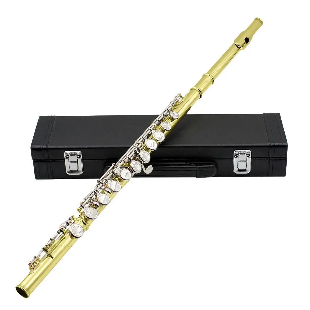 

16 Hole Flute C Key Wind Instrument Mini Screwdriver Case with Gloves