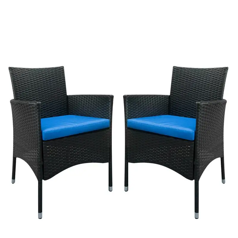 

2pcs Single Backrest Chairs Rattan Sofa Set Black PE Rattan Iron Coordinate With Any Style