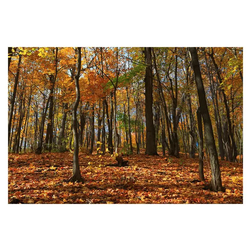 

5x3ft Photography Backdrop Vinyl Autumn Scenery Tree Leaves Decor Customized Outdoor Photo Background Studio Prop Wall Decor