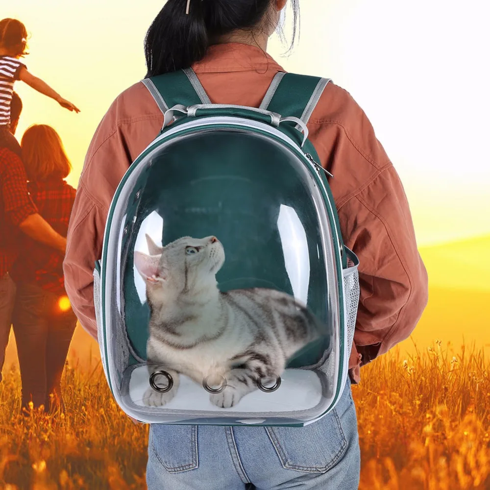 large cat carrier backpack