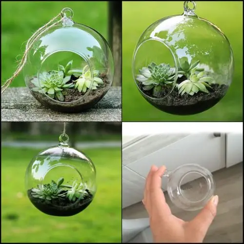 3size Clear Glass Vases Ball Flower Hanging Transparent Vase Planter