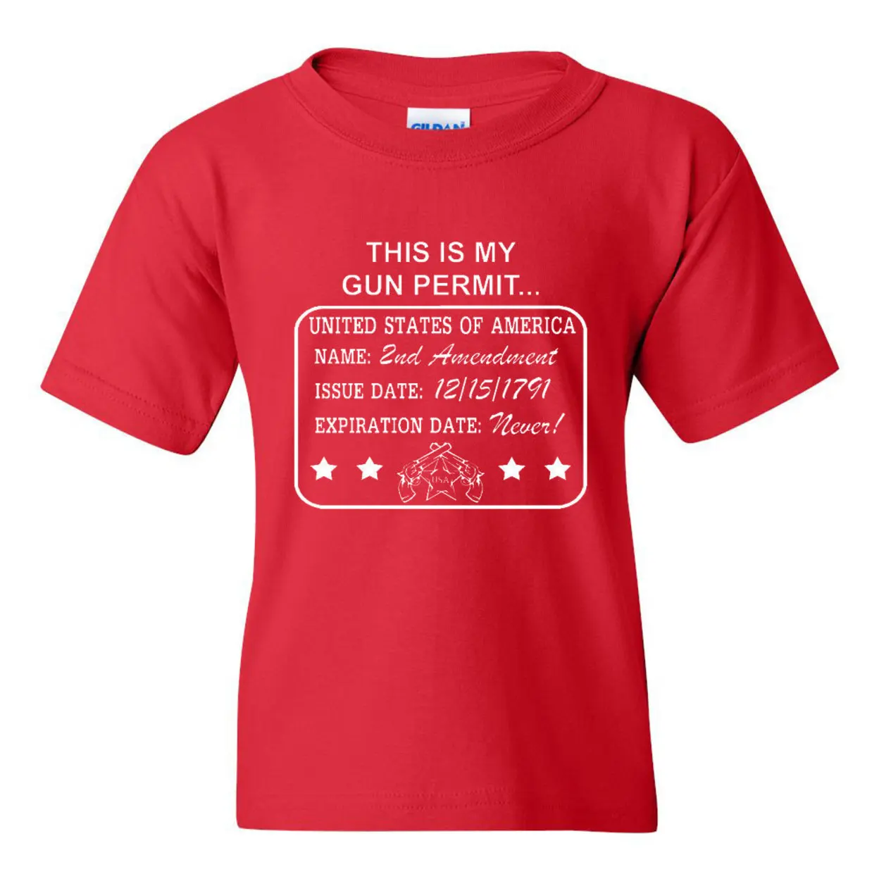 This Is My Gun Permit 2nd Amendment Novelty Youth Kids T Shirt Tee