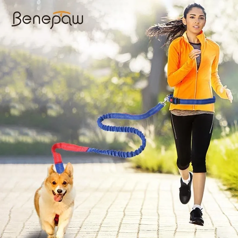Benepaw Flexible Handsfree Dog Leash 8 Colors Adjustable Waist Jogging