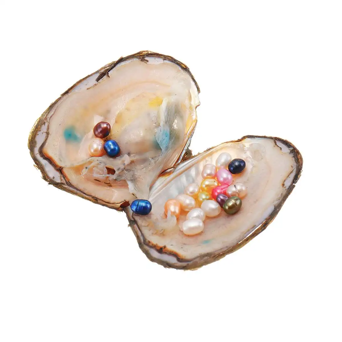 

Natural Pearl Freshwater Cultured Pearl Oyster Multi-Color Rice Bead Oval Wishes Pearl Oyster DIY Birthday Gifts Mussel Fashion