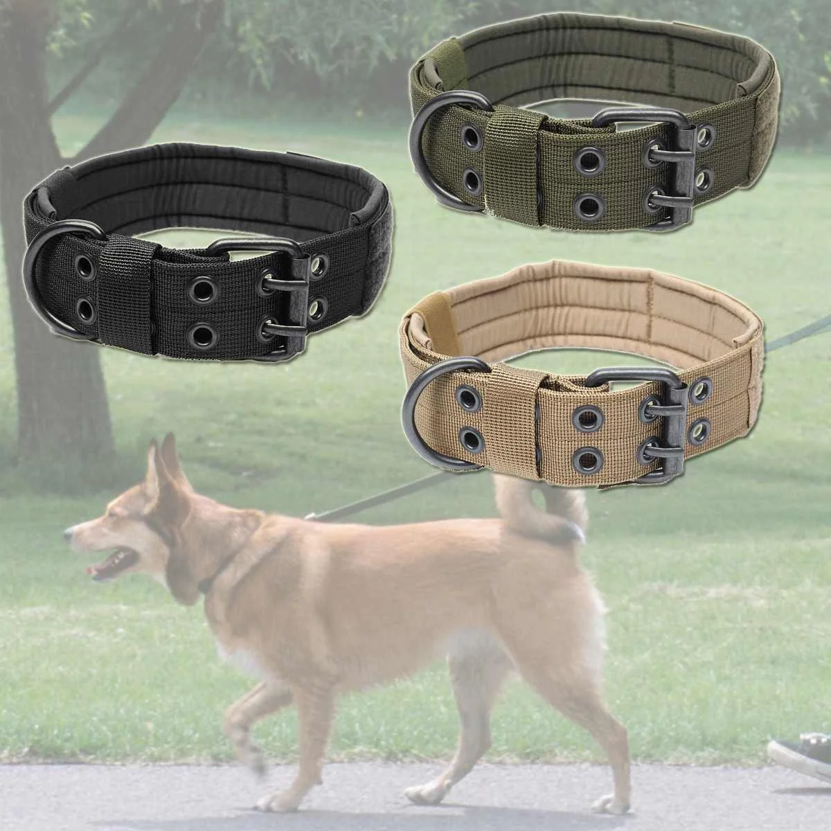Buy Nylon Tactical Dog Collar Harnesses Leads Military