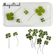 MagiDeal 12 реальные прессованные четыре листа сушеные цветы украшения карты изготовление Драгоценности для скрапбукинга мебель DIY украшения