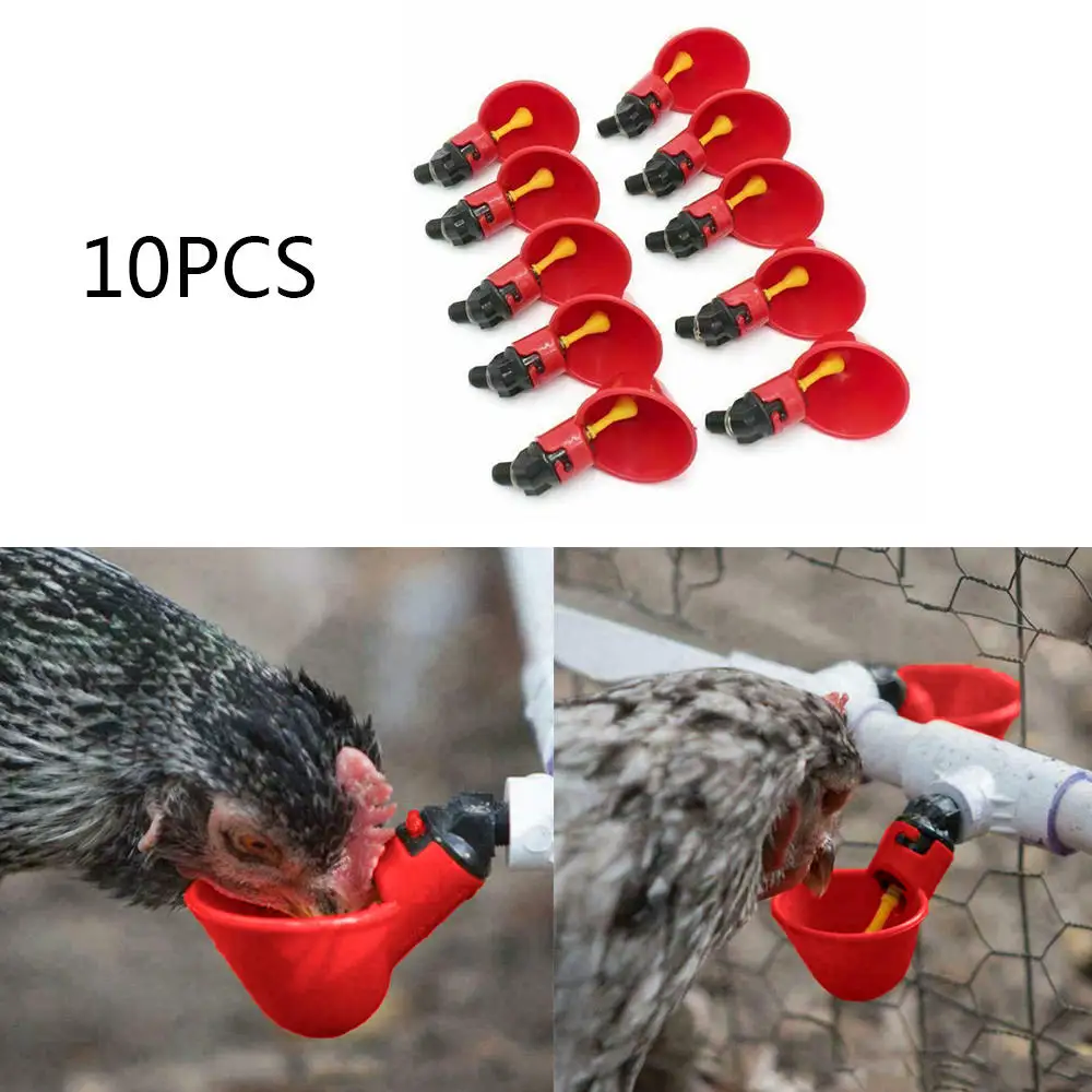 10 шт. красный автоматический перепелиный поилка куриная чаша-поилка ферма птицы питьевой воды системы