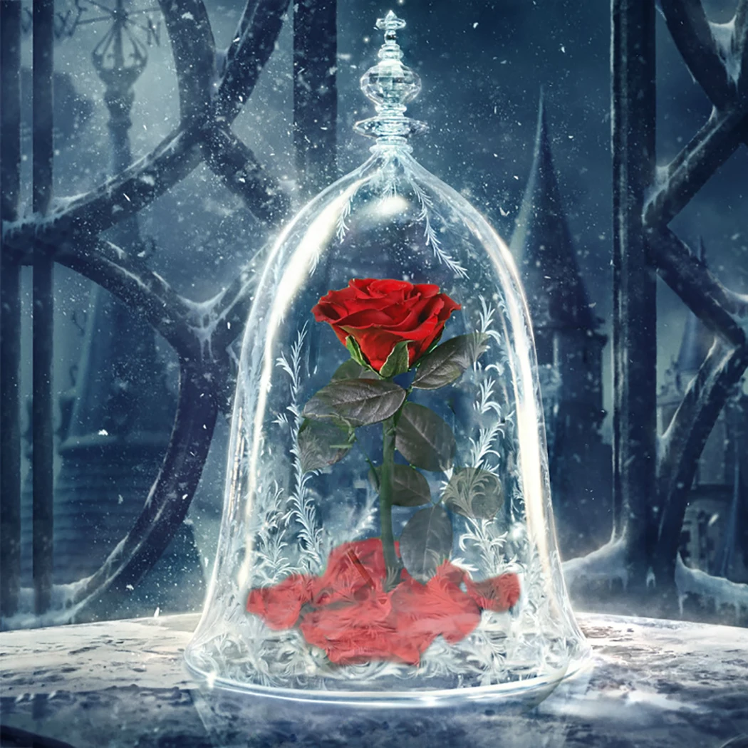 

LED Beauty Rose and Beast Battery Power Red Flower String Light Desk Lamp Romantic Valentine's Day Birthday Gift Decoration