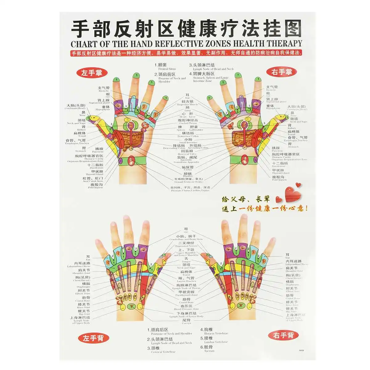 Korean Hand Therapy Meridian Chart