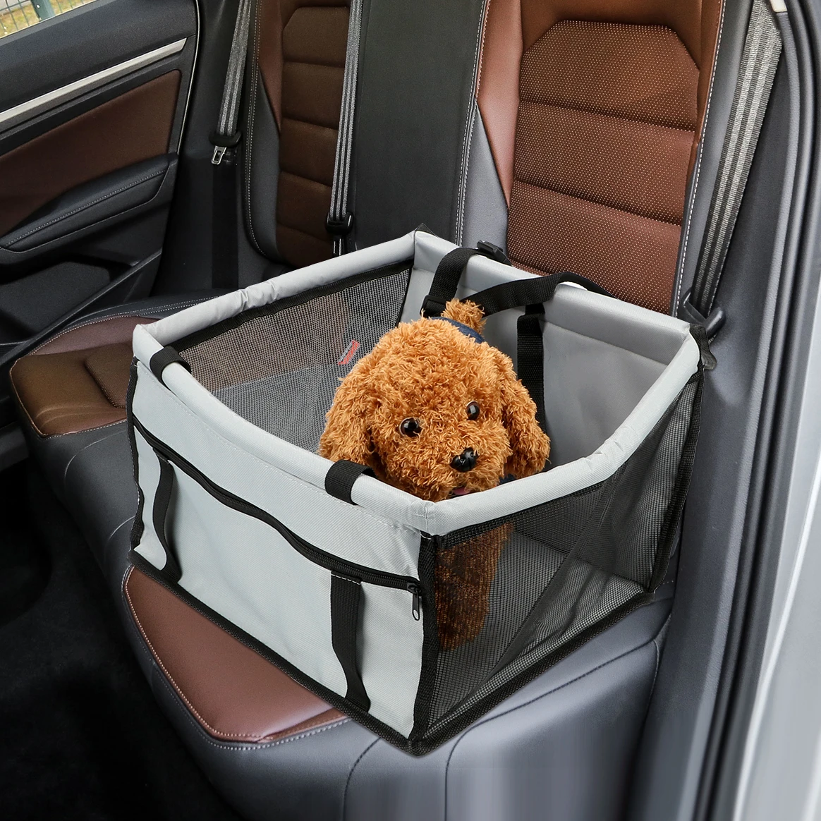 transporting puppy in car