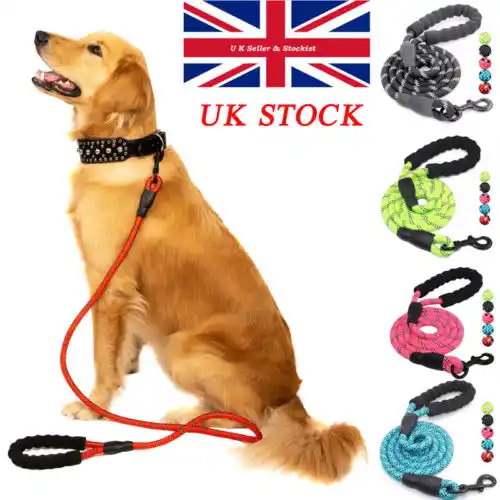 strong rope dog leads