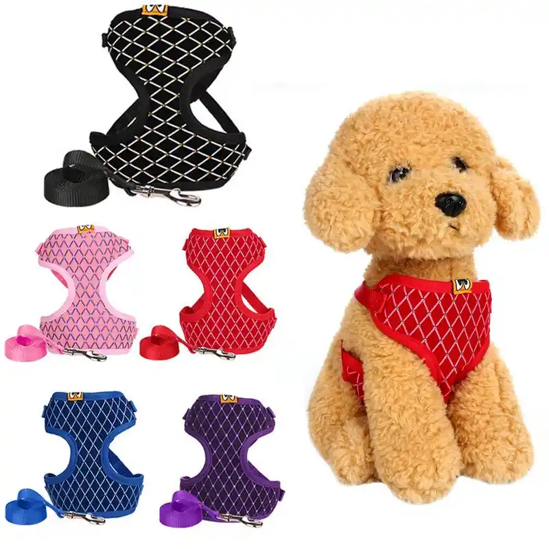 all pet solutions harness