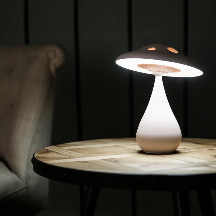 

Multifunctional Energy Saving Timing Air Purifying Lamp