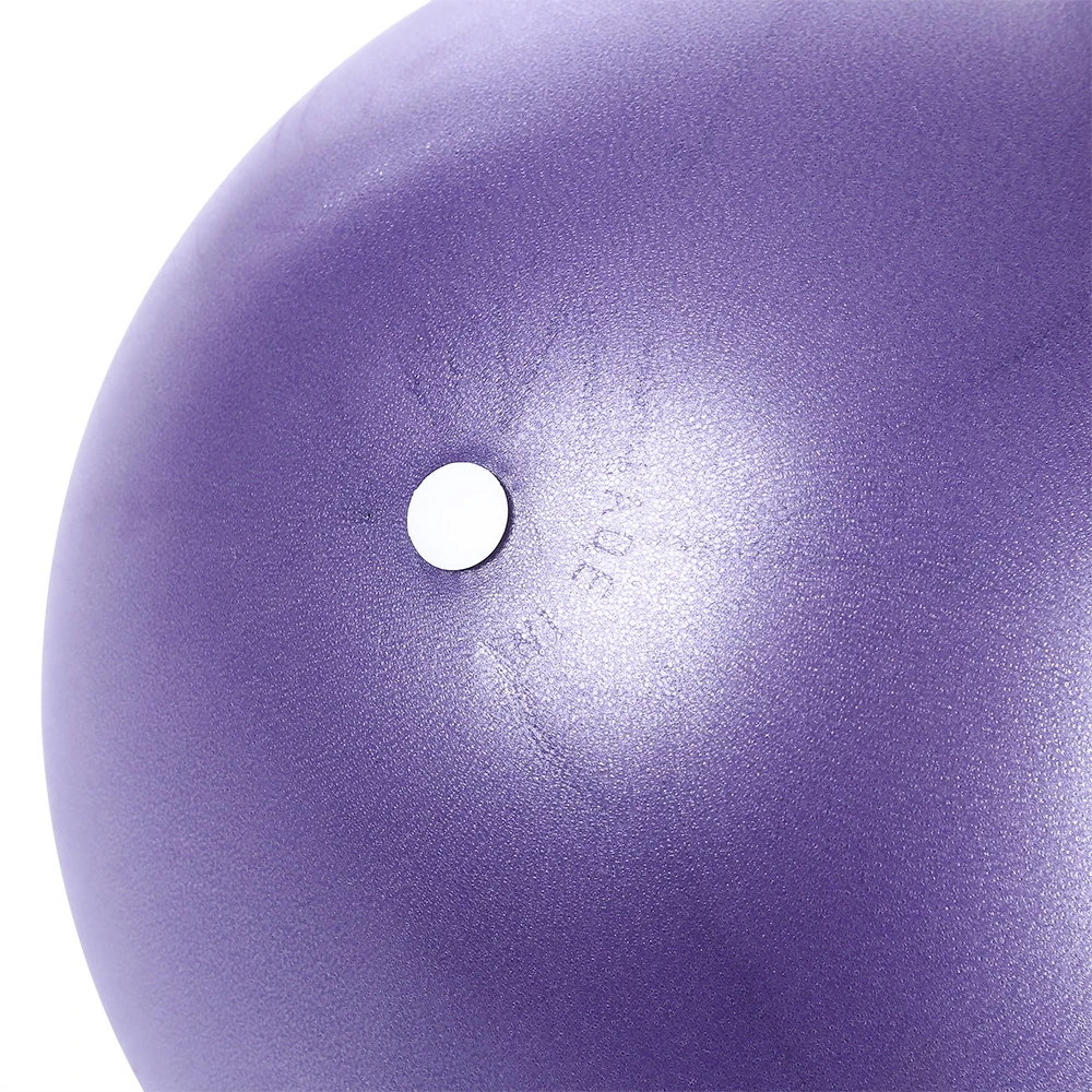 Nieoqar 25cm Yoga Ball Exercise Gymnastic Fitness Pilates Ball Balance Exercise Gym Fitness Core Indoor Training Yoga