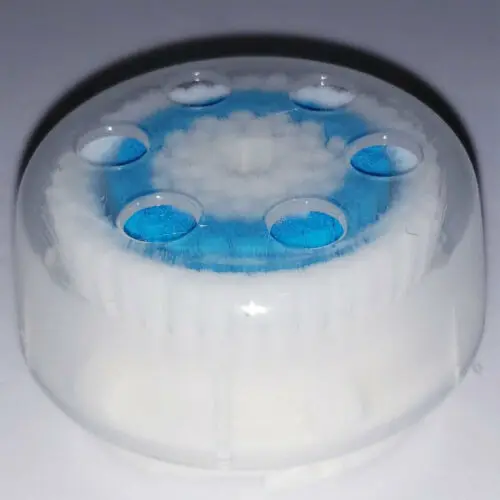 Сменная головка щетки US 2 Deep Pore Clarisonic mia|Чистящие щетки| |