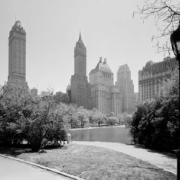 USA New York State City Fifth avenue and 59th Street seen from Central Park Poster Print (18 x 24) | Дом и сад