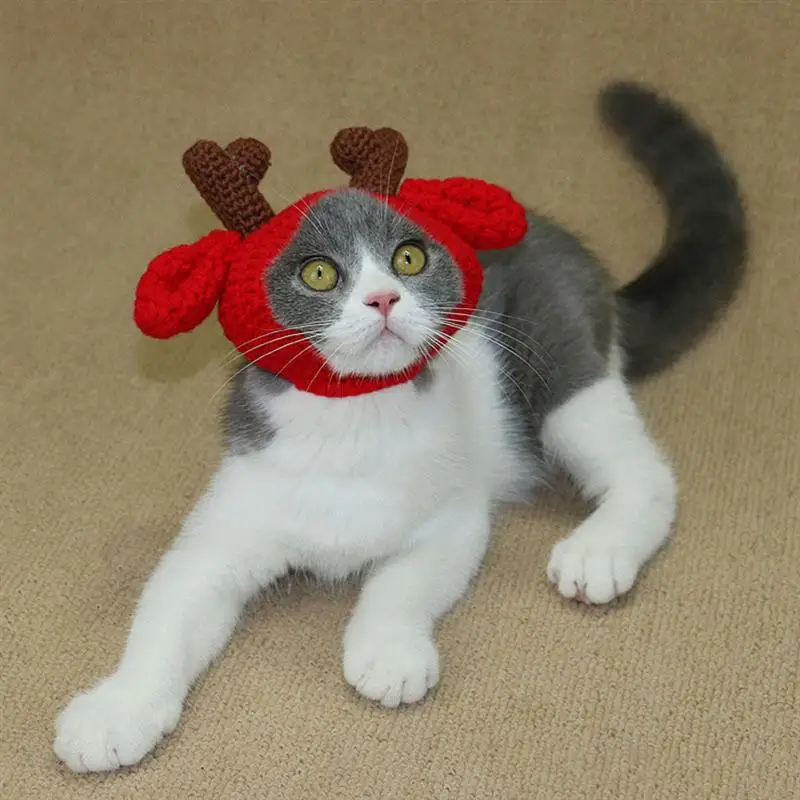 Кошка шапка-скафандр ПЭТ собачий наряд для Хэллоуина комплекты шапка для собак Головные уборы Груминг для собачьей шерсти аксессуары
