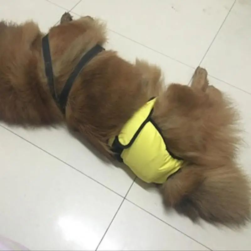 Собака физиологические брюки XS XXL гигиеническая салфетка моющиеся женские шорты