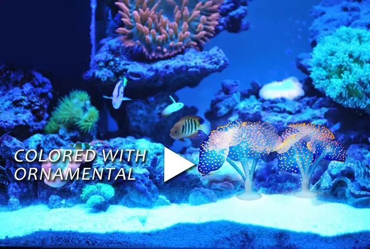 Fluorescent Silicone Artificial Simulation Coral Plant for Fish