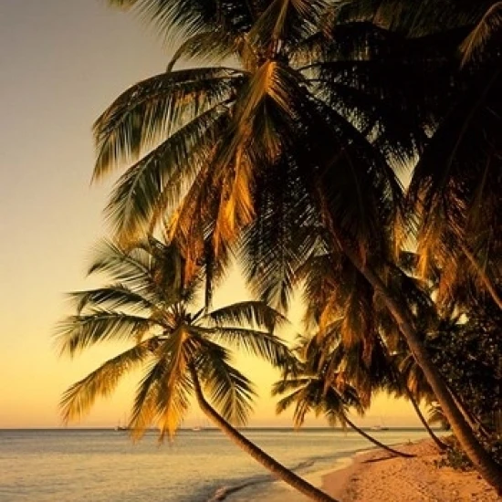 Beach at Sunset Trinidad Caribbean Poster Print by Michael DeFreitas (24 x 36) |