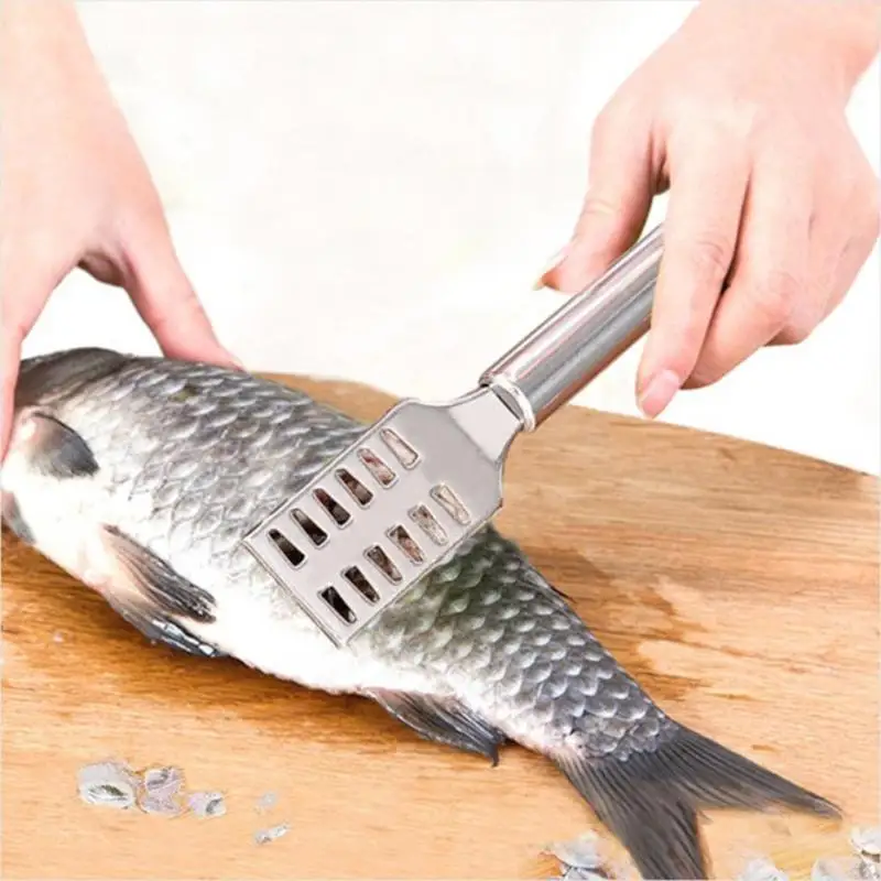 

Fish Cleaning Scaler Scraping Fishing Scale Scraper Kitchen Tools