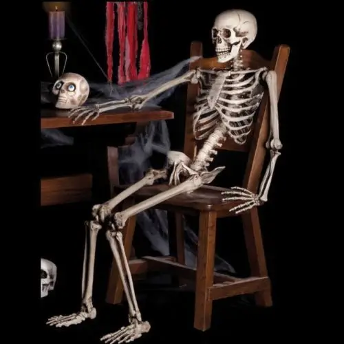 

Halloween Party Decoration Poseable 38*12CM Human Skull Skeleton Anatomical