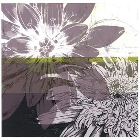 Graphic Blooms I Poster Print by Jennifer Goldberger (19 x 19) | Дом и сад