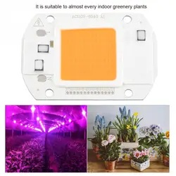 LED Chip Full Spectrum Plant Grow Light COB Bead Plant Growth Lamp for Greenery Plant Flower LED Grow Tent Lighting LED Chip Full Spectrum Plant Grow Light COB Bead Plant Growth Lamp for Greenery Plant Flower LED Grow Tent Lighting
