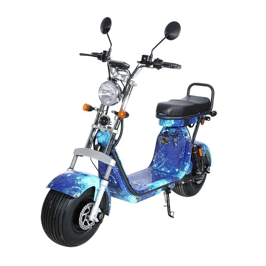 EEC certification Harley powerful Electric Vehicle 1500W Power Lithium Battery bicycle adult bike Motorcycle Scooter ebike