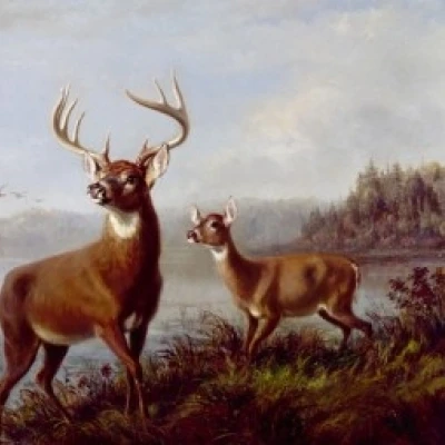Buck and Doe Alerted by Arthur Fitzwilliam Tait (1819-1905) Poster Print (18 x 24) | Дом и сад