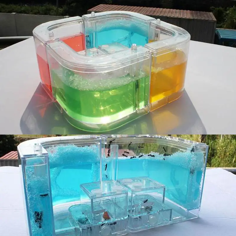 

Baby Outdoor Toys Mini Ant Home with Nipper and Straw Farm Ecological Toys Science Learning Educational Kids Playing Toys