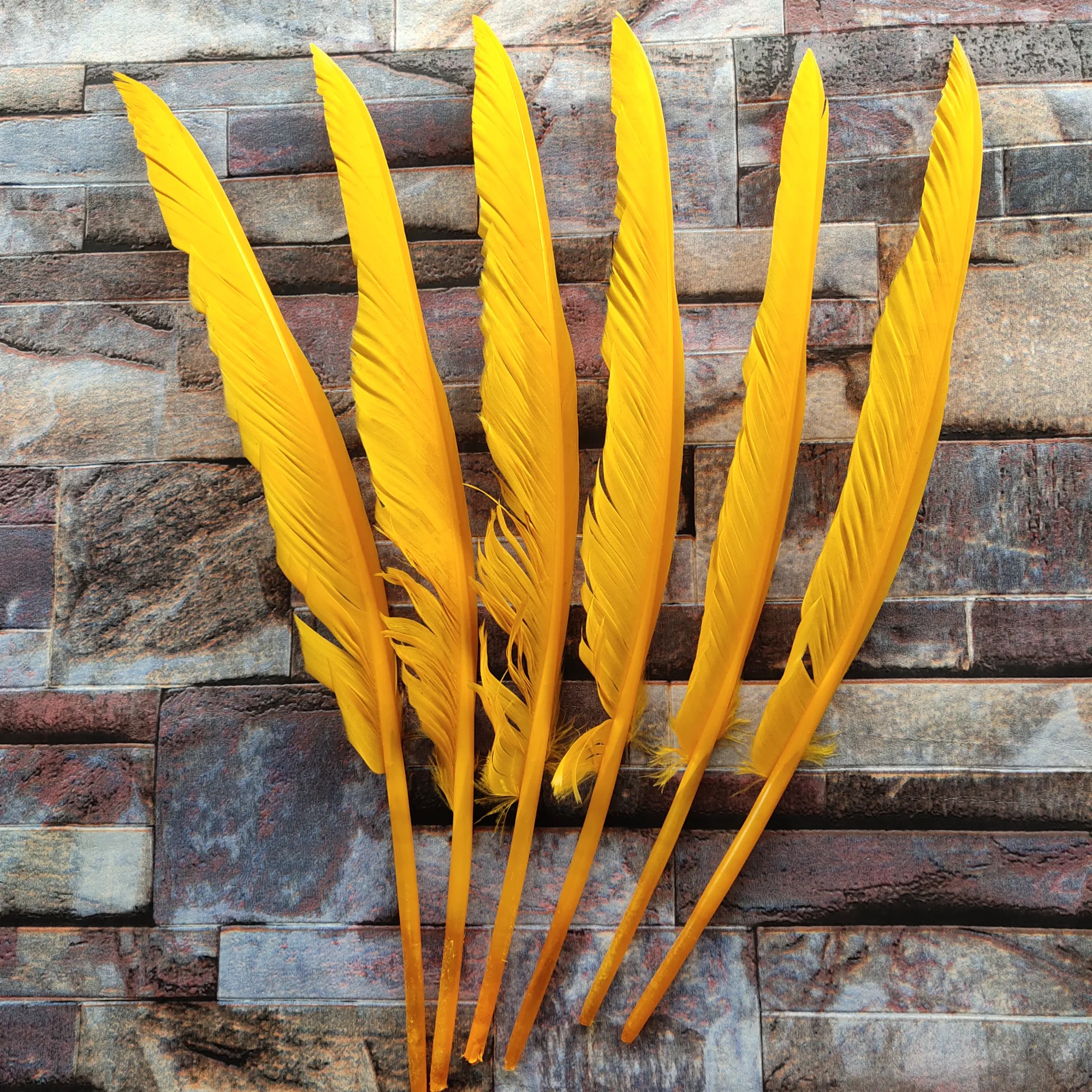 Beautiful! 10pcs/lot Golden yellow feathers 30 35cm/12 14inch Natural