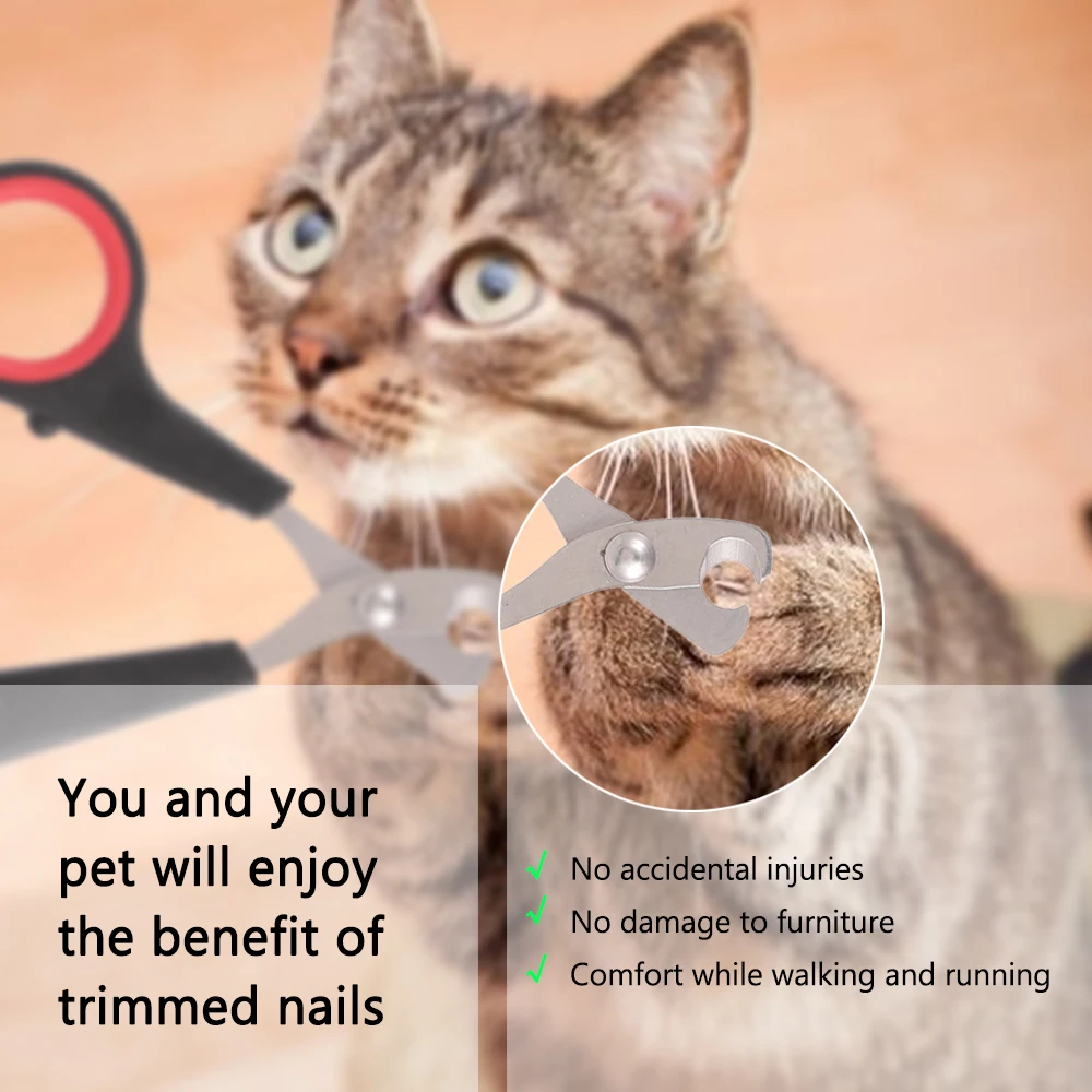 

Professional Pet Dog Nail convenient and hygienic Clipper with Lock Grooming Scissors Nail File 3PCS Pet Tool for Animals Cats