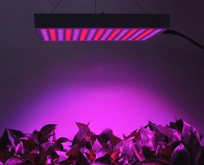 45 Вт 225 светодиодный квадратный светильник с бусинами, светильник для выращивания саженцев, светильник для выращивания растений в помещении для теплиц, светильник для выращивания, туалетный тент