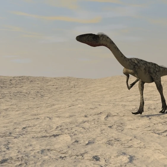 Coelophysis walking across a barren desert Poster Print (37 x 21) | Дом и сад
