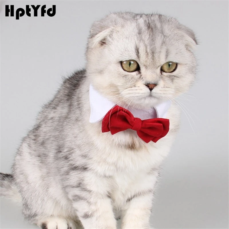 Collier De Costume Pour Petit Chien Et Chat Nœud Papillon Pour Petit Animal De Compagnie Accessoires De Cou De Chemise Pour Chiot Decoration De Fete De Mariage Accessoires De Toilettage Aliexpress