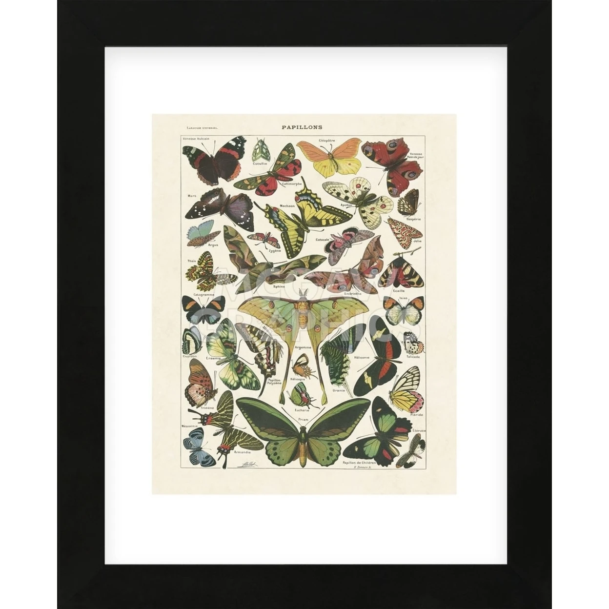 Papillons I (в рамке) |