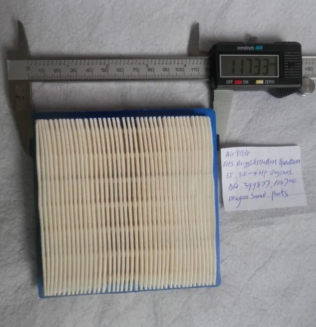 Air Filter Briggs & Stratton 399877 100700 4