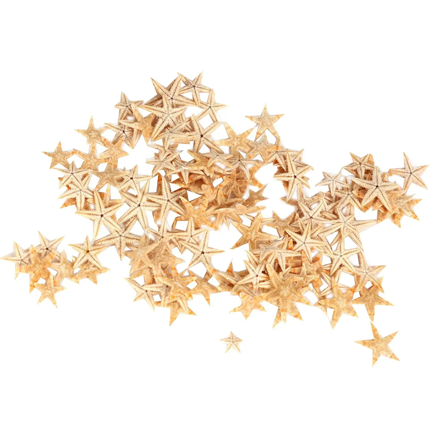 

Small Starfish Star Sea Shell Beach Craft 0.4 inch-1.2 inch 90 Pcs